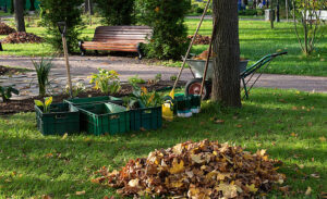 Beste Wintergarten Reinigung in Hamburg