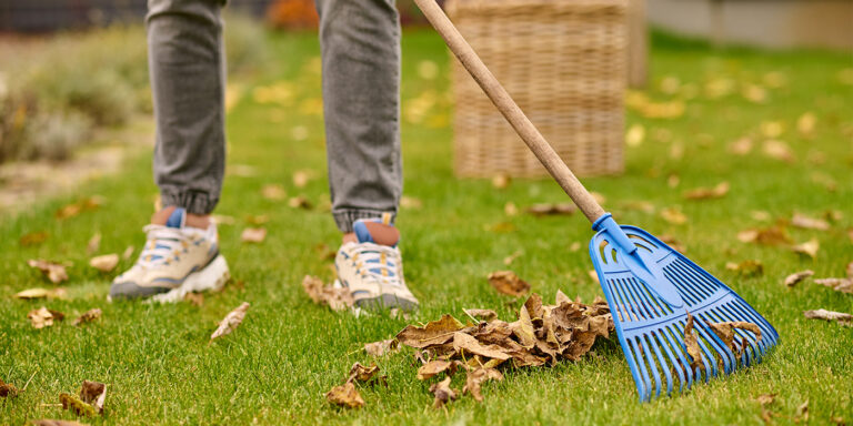 Wintergartenreinigung vom Profi