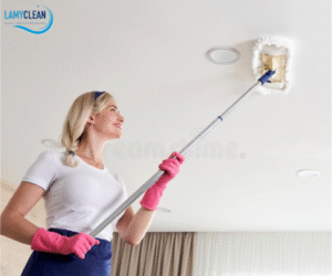 LamyClean – Terrassenüberdachung Reinigung Seevetal